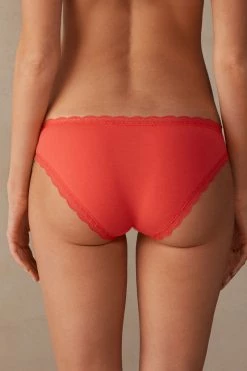 Cotton And Lace Briefs 13 Cotton And Lace Briefs -intimissimi shop SID96C219J BI